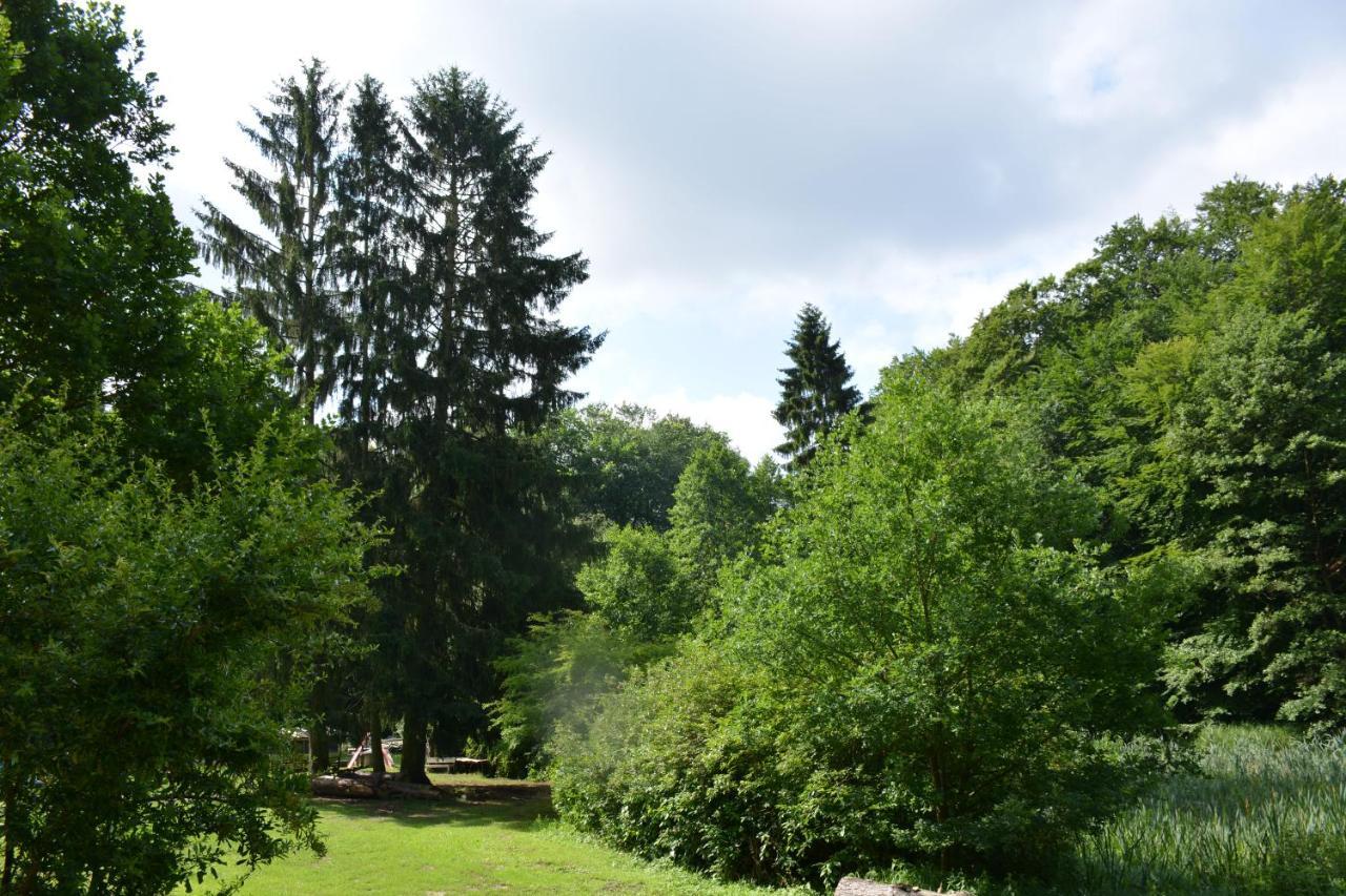 Bungalows Am Waldessaum Bei Hohenzieritz المظهر الخارجي الصورة